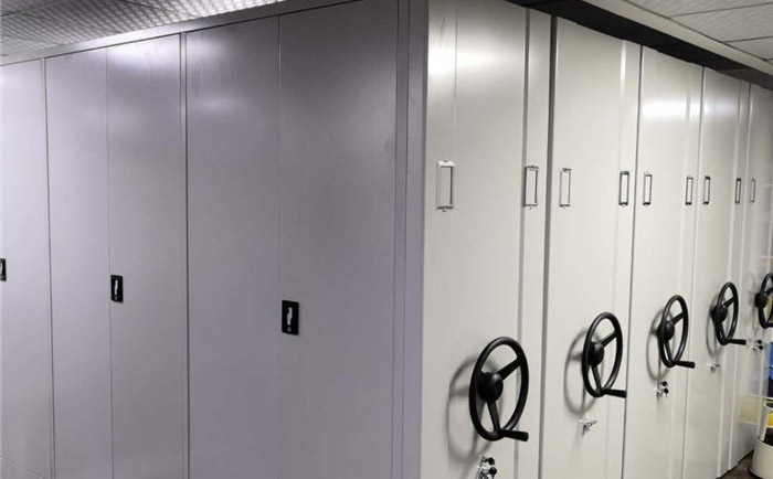 財(cái)務(wù)憑證柜生產(chǎn)廠家 財(cái)務(wù)憑證柜生產(chǎn)廠家